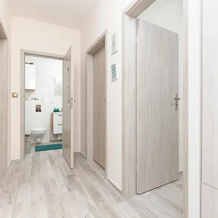 Center Elektoralna By Renters Daire